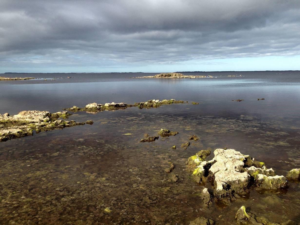 The lagoon