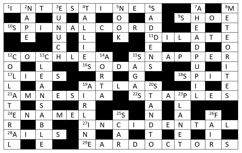 Bridgespotter S Cryptic Crosswords New Zealand Doctor