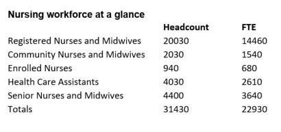 Nursing workforce