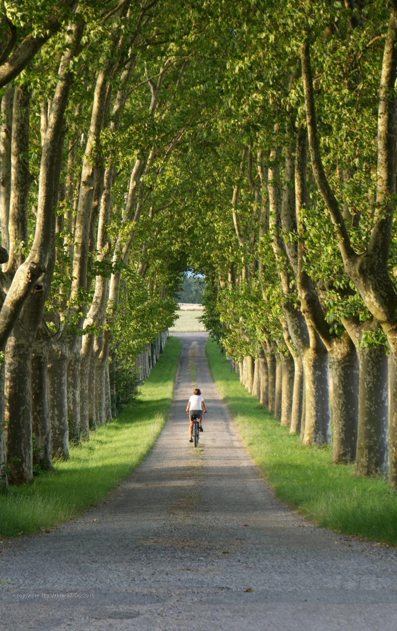 la bicyclette