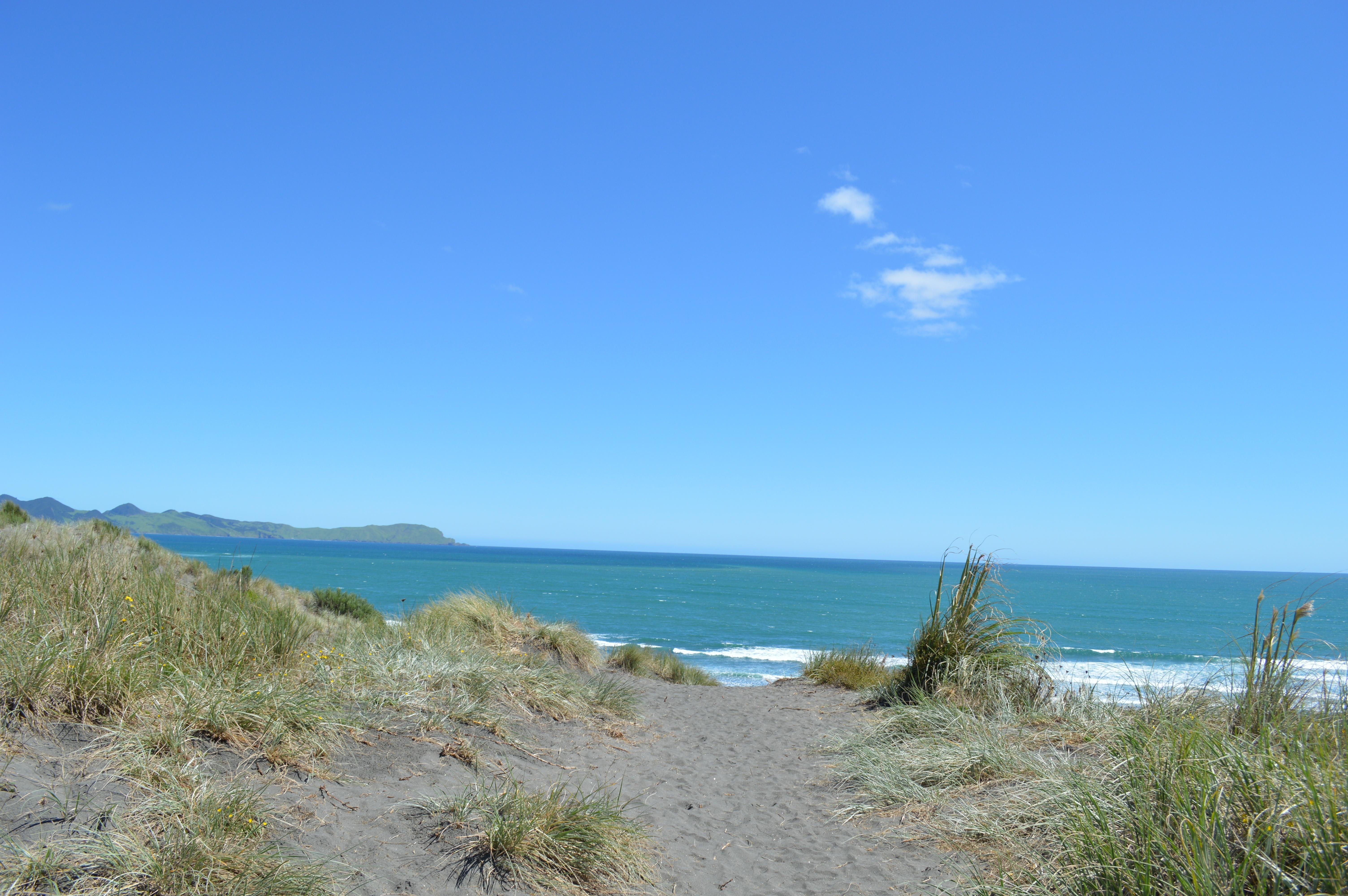 Ocean Beach Kāwhia