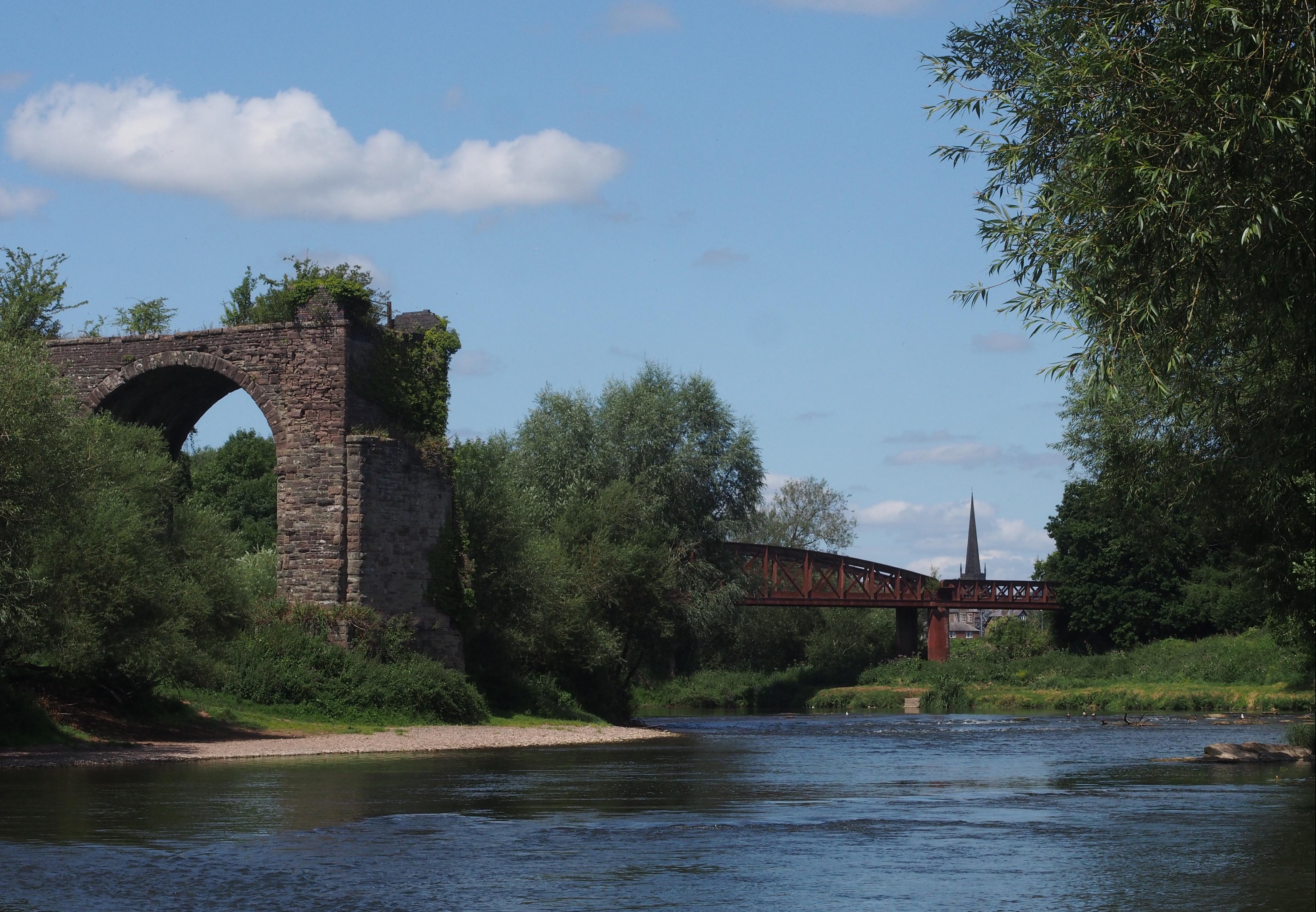Wye bridges