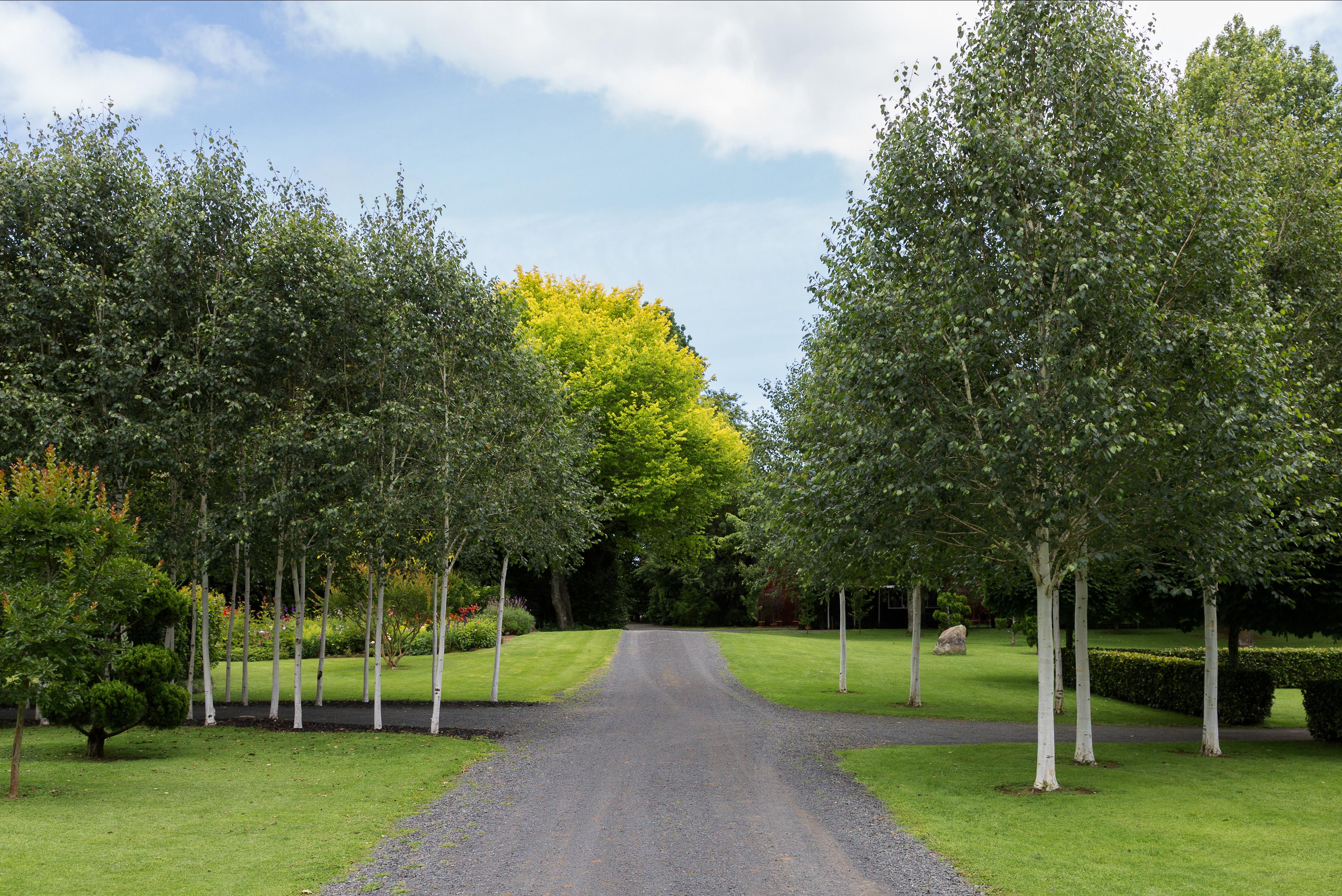 garden driveway