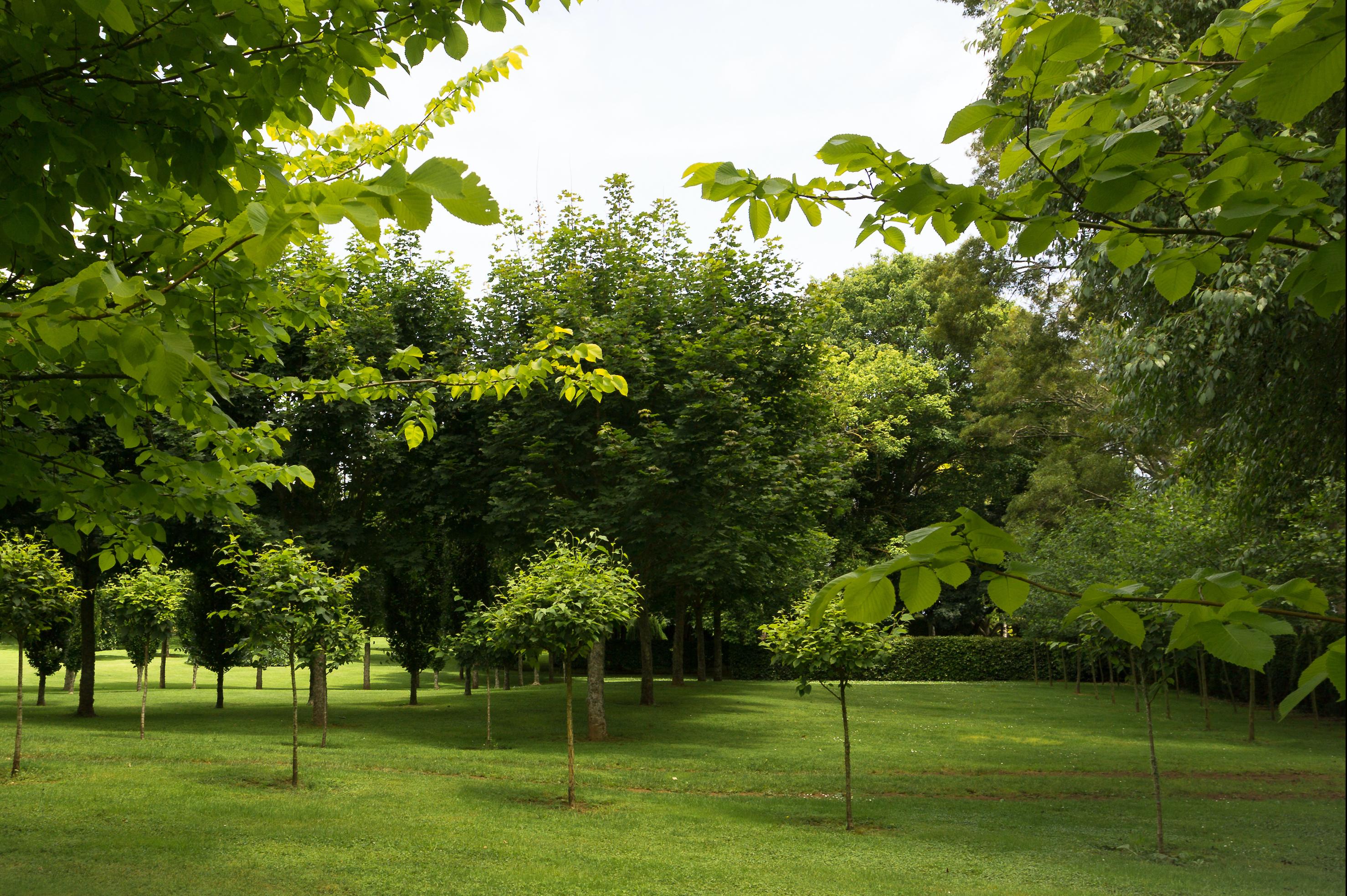 parklike grounds