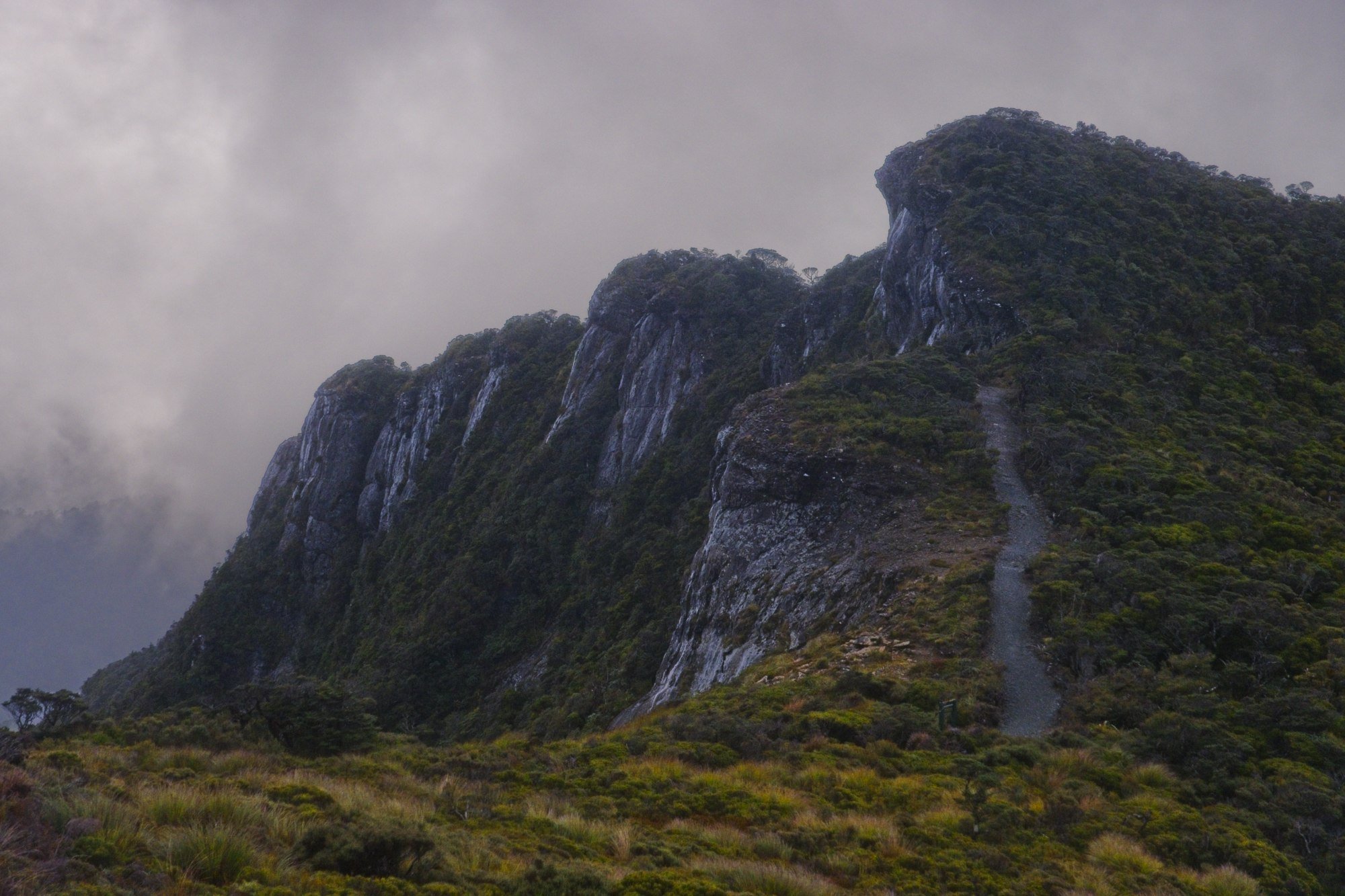 Escarpment track - Jim Vause