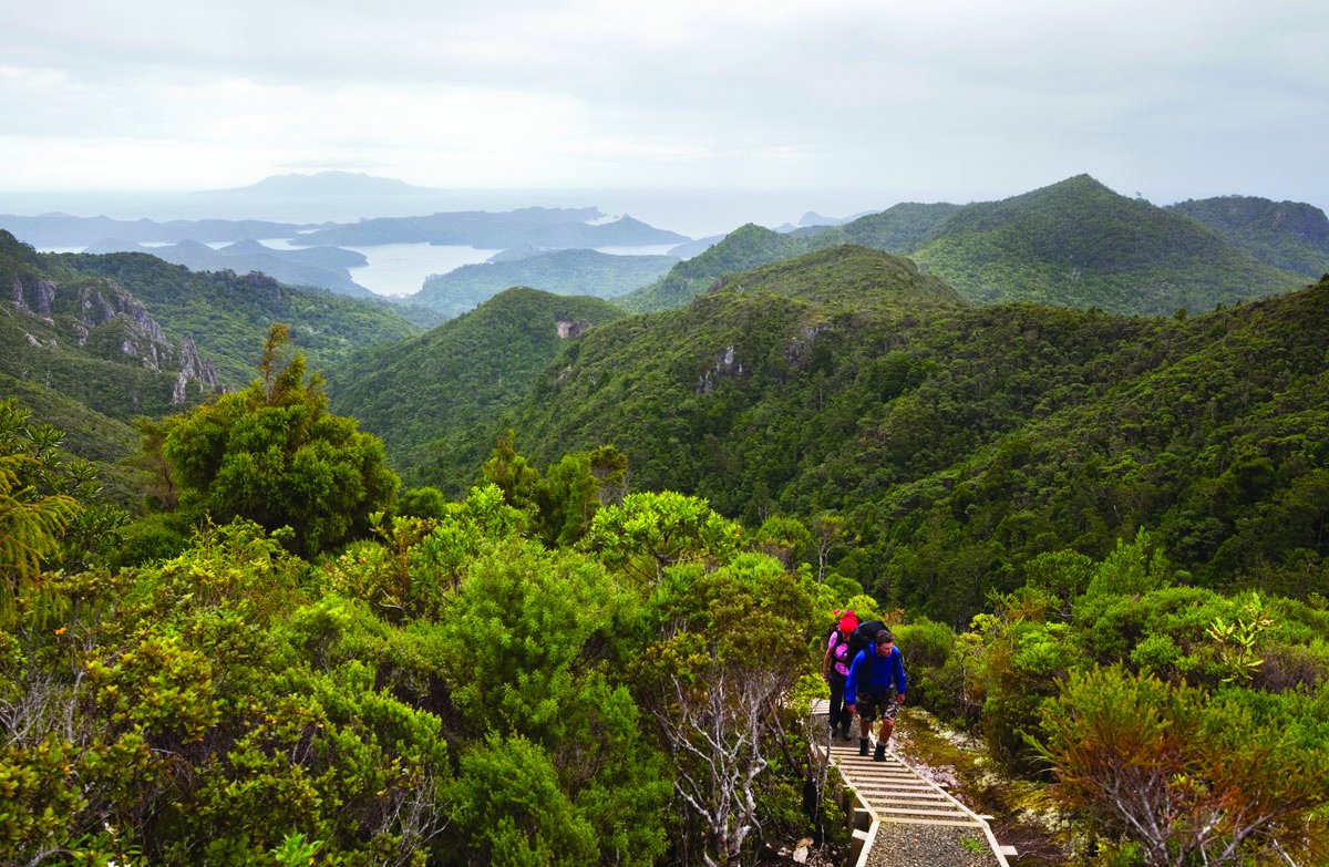 Great Barrier Island
