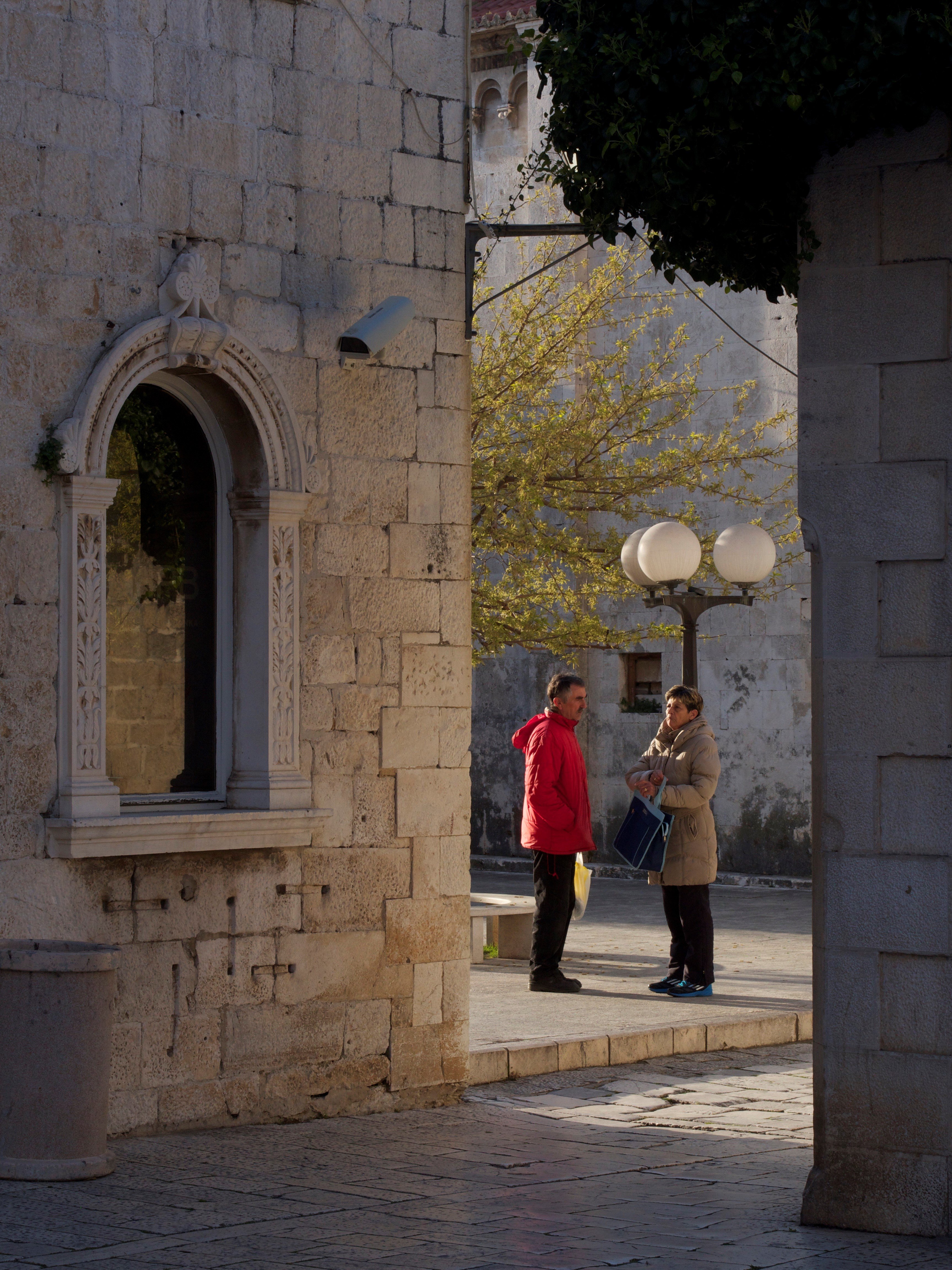 Morning encounter - Trogir