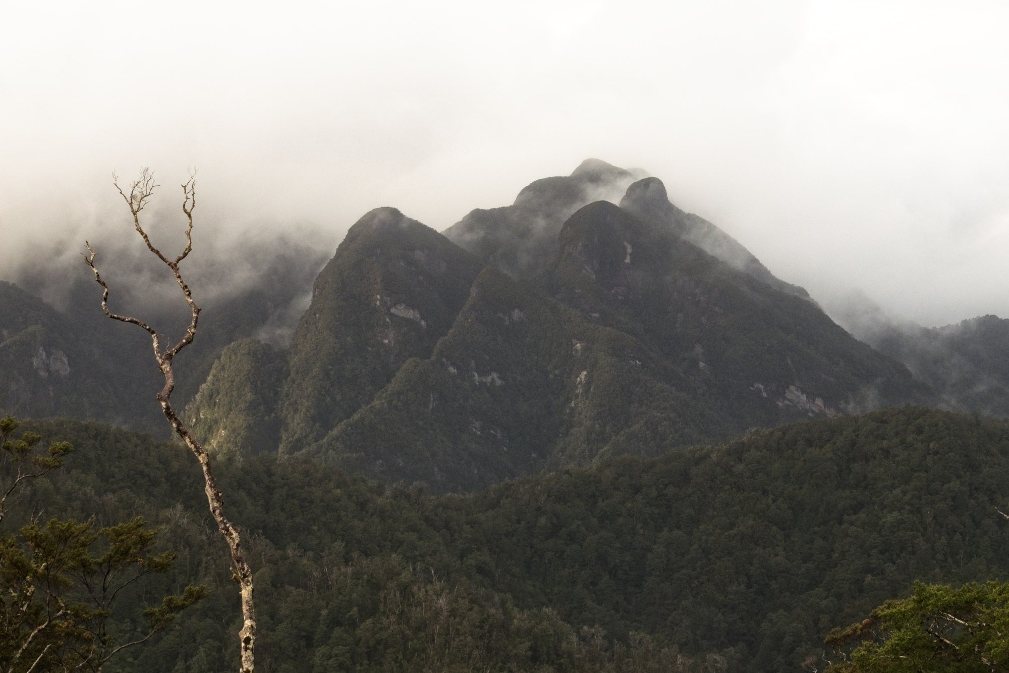 Pororari Hutt view - New Zealand's Machu Picchu