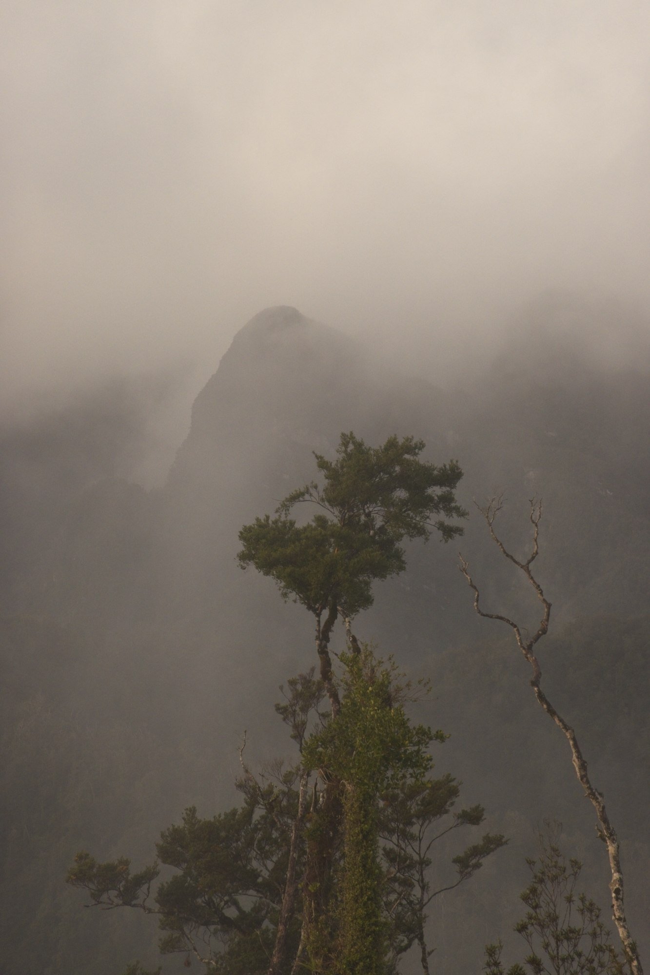 Pororari Hutt view