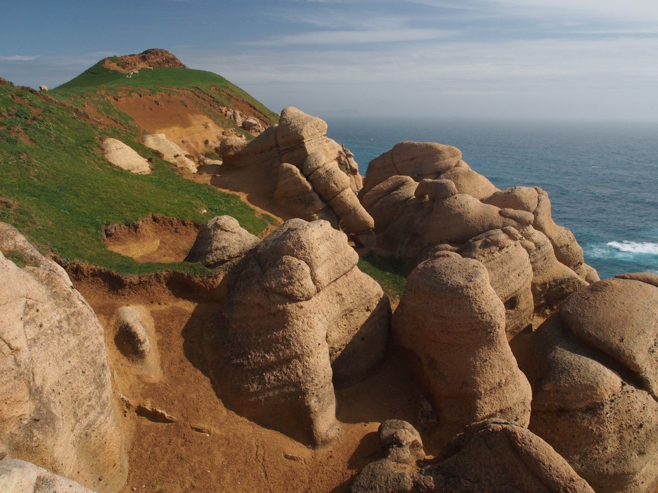 Chathams rocks