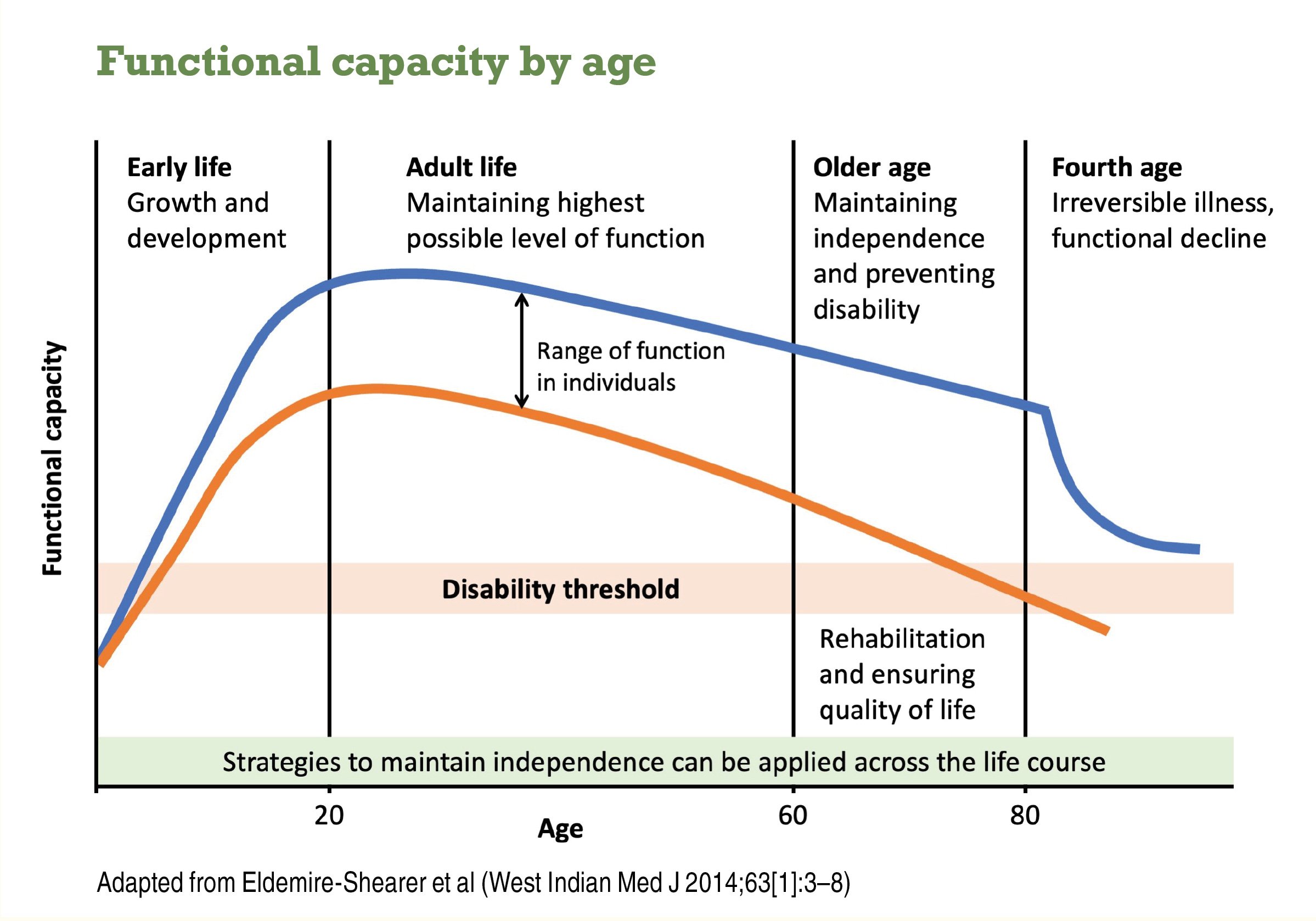 Functional capacity by age 