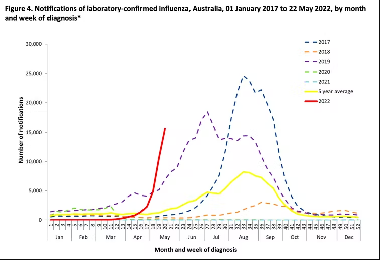 Lab notifications in Australia for influenza show a steep pre-winter surge nationally, comparable to 2017 and 2019 [Image: supplied]