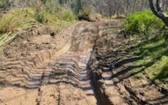 Track from Tokomaru Bay to Hospital