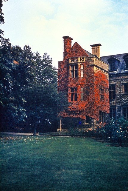 Old brick building looking out on large tree