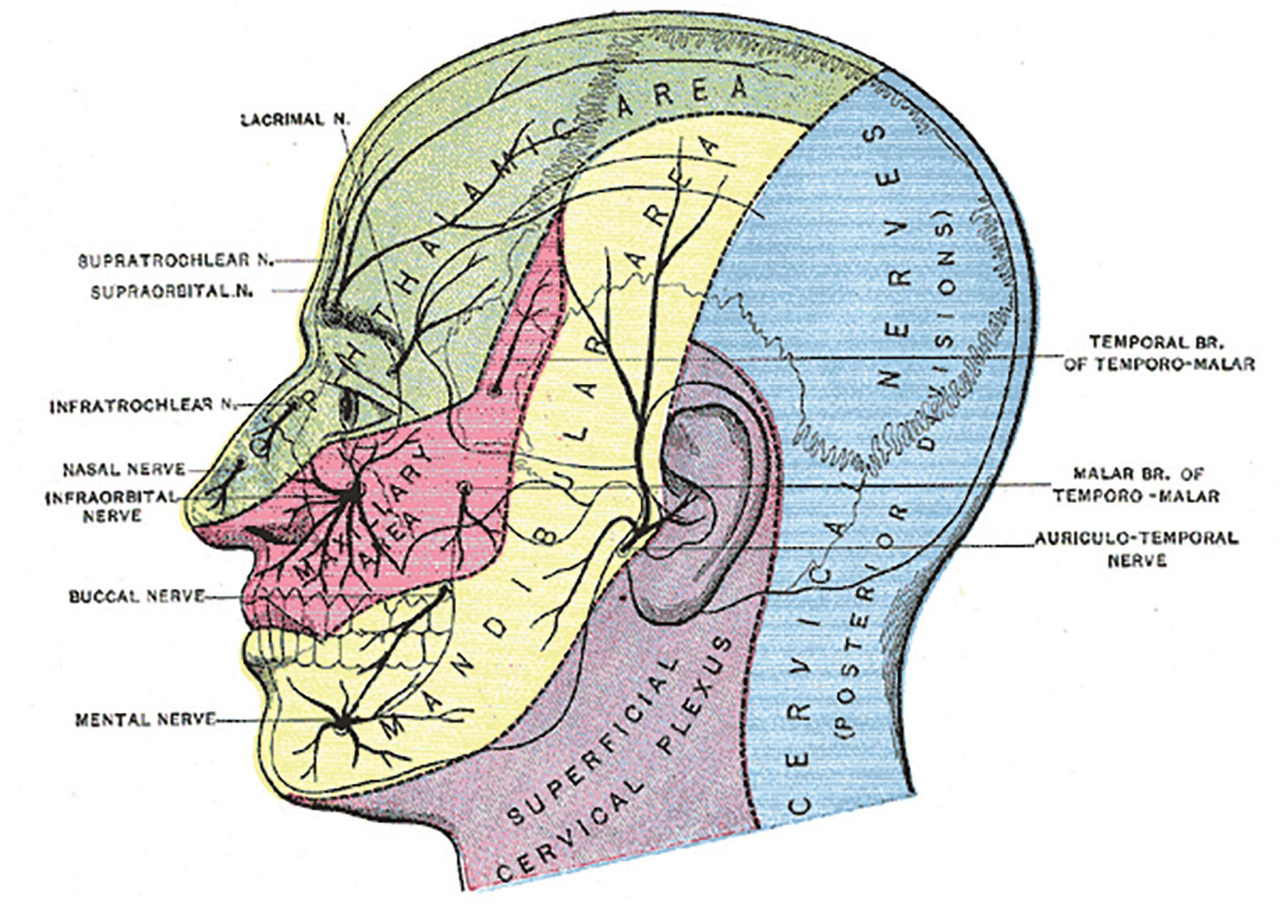 Clinical-Update-Figure-1