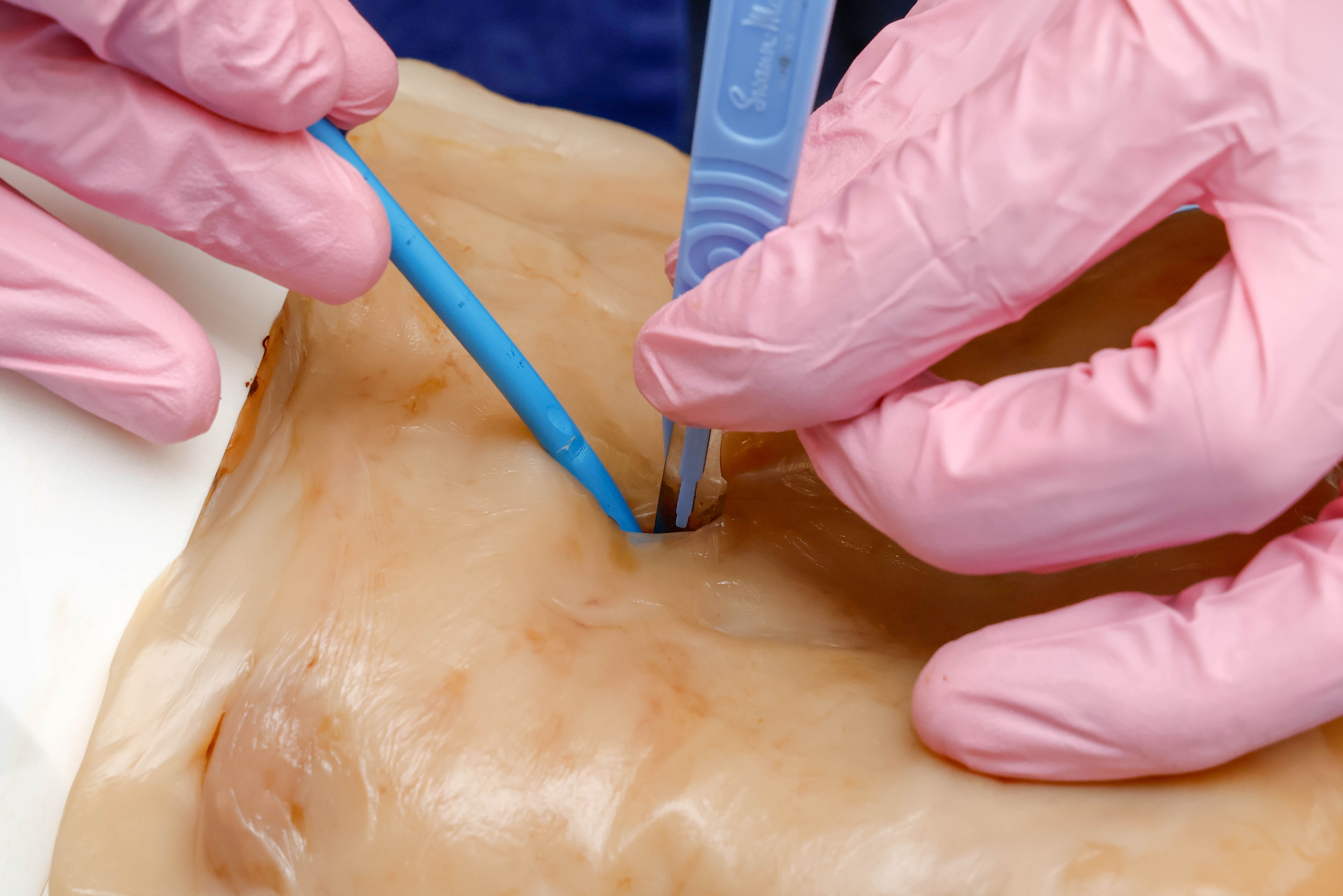 Using SCOBY for anaesthesia training, Wellington Regional Hospital