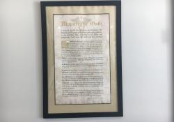Hippocractic oath on the wall of the large upstairs meeting room
