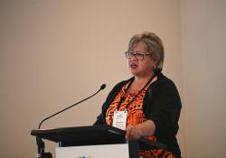 Heimama Reihana-Tait, nurse director of primary healthcare at Mahitahi PHO tells attendees about the Mauri Ora Window