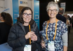 Vivienne Tate, locum, Arrowtown and Wendy Marshall, self-employed locum, Auckland