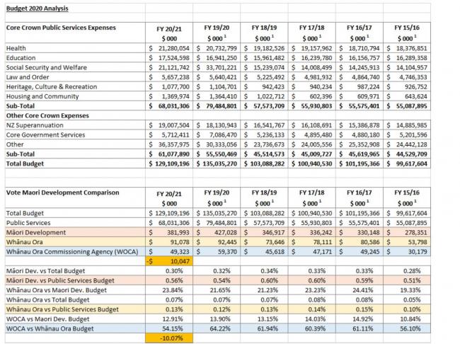 Budget analysis Māori party