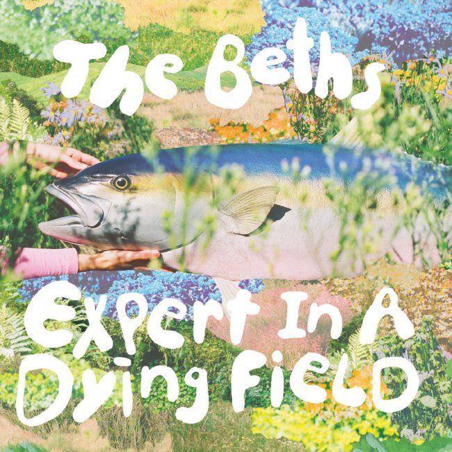 The Beths Expert In A Dying field